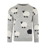 Sweater Sheep