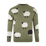Sweater Sheep